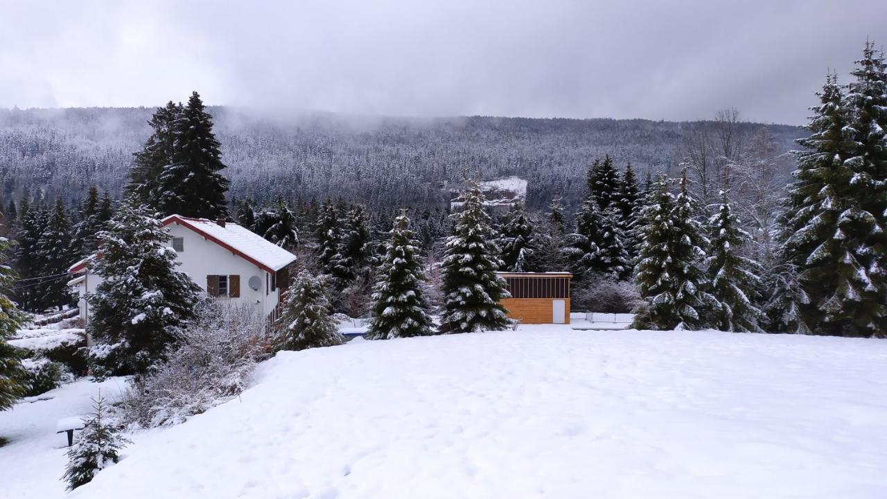 Maison Familiale 3 Chambres Au Calme Dans La Nature Gérardmer Exterior foto